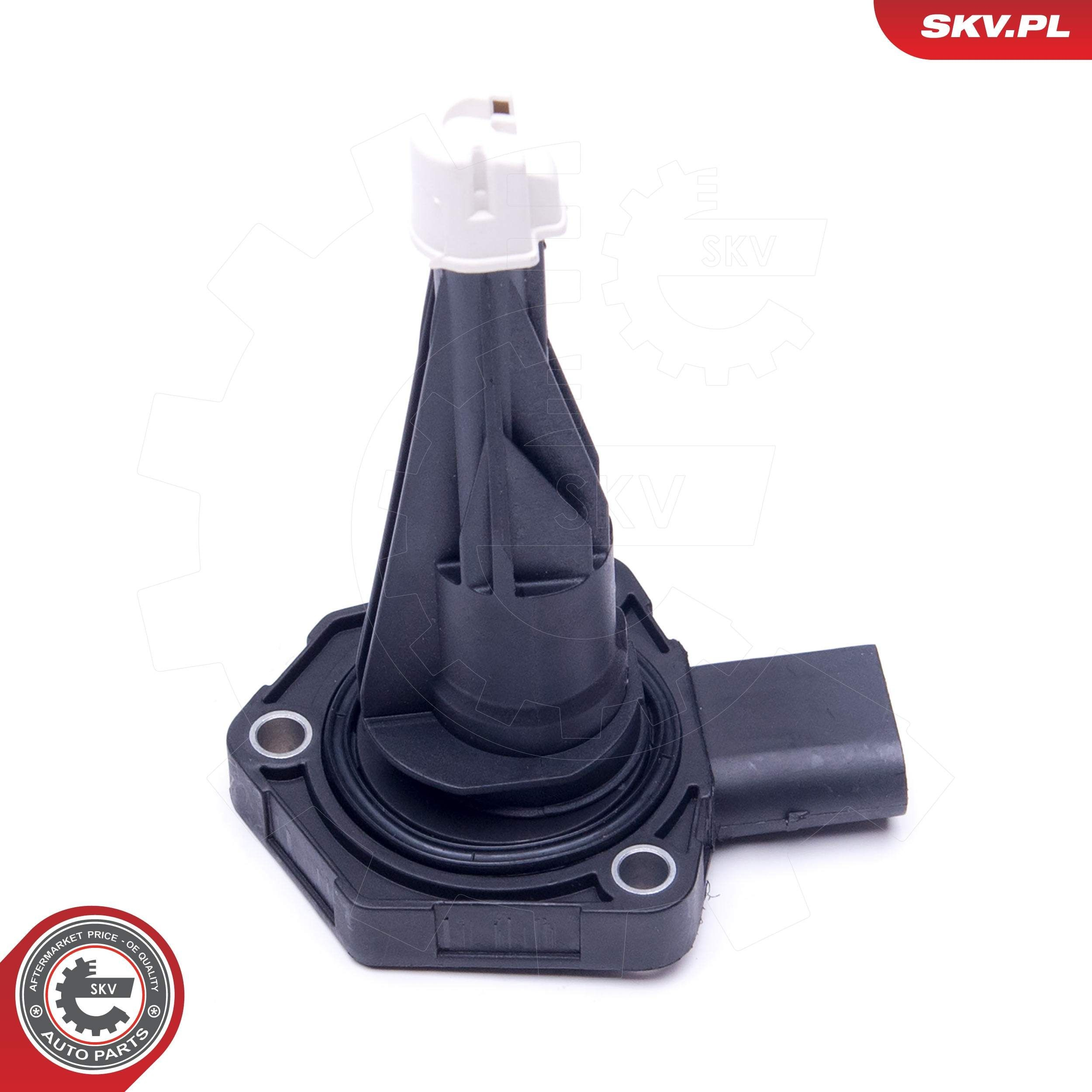 17SKV387 SKV